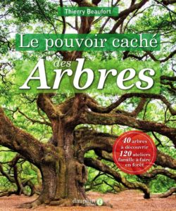 Le pouvoir caché des arbres