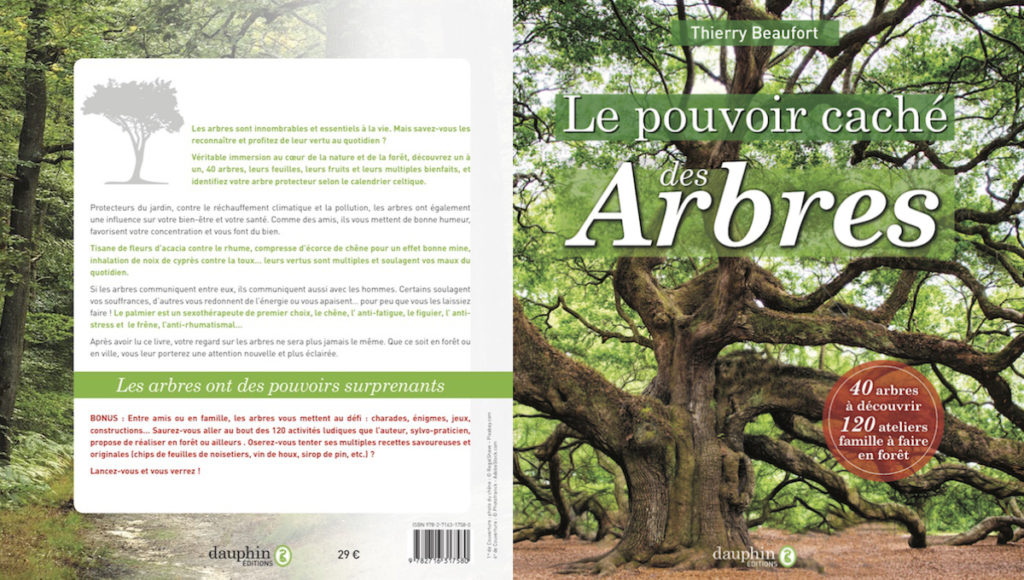 Le pouvoir caché des arbres