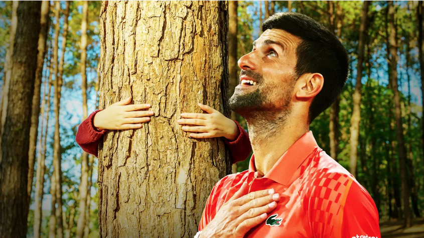Djokovic entretient une relation privilégiée avec un arbre à Melbourne